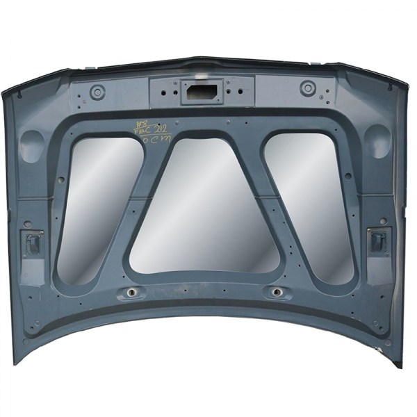 1998-02 Navigator Hood